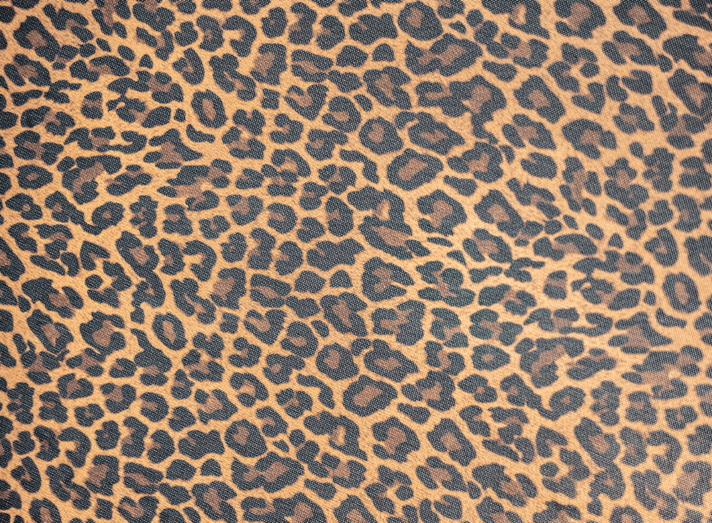 High Waist Bottoms - Brigitewear International, LLC